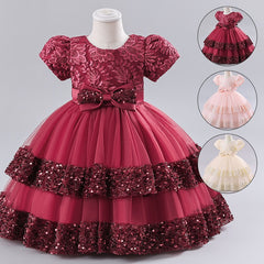 Girls Embroidered Tiered Party Dress