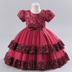 Girls Embroidered Tiered Party Dress